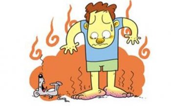 ��ô��ֹ����Ѣ����